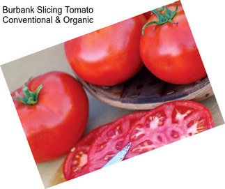 Burbank Slicing Tomato Conventional & Organic