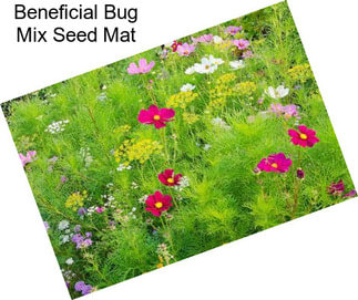 Beneficial Bug Mix Seed Mat