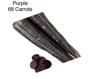 Purple 68 Carrots