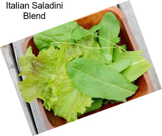 Italian Saladini Blend