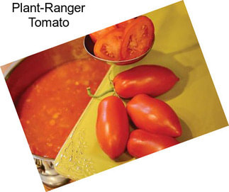 Plant-Ranger Tomato