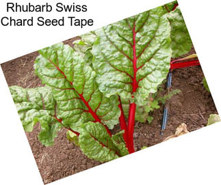 Rhubarb Swiss Chard Seed Tape