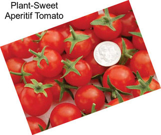 Plant-Sweet Aperitif Tomato