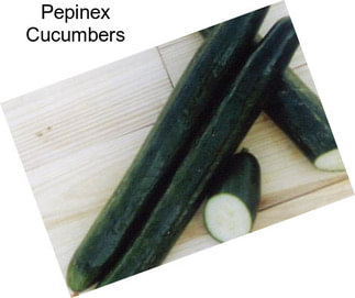 Pepinex Cucumbers