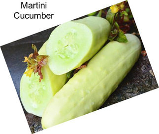 Martini Cucumber