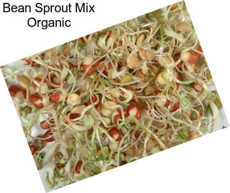 Bean Sprout Mix Organic