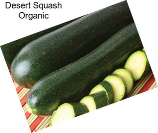 Desert Squash Organic