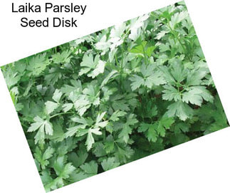 Laika Parsley Seed Disk