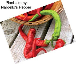 Plant-Jimmy Nardello\'s Pepper