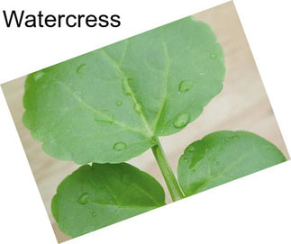 Watercress