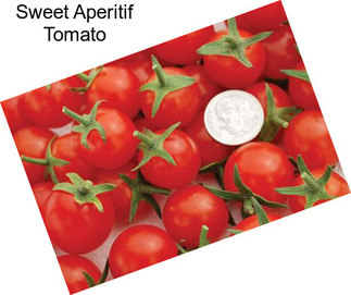 Sweet Aperitif Tomato