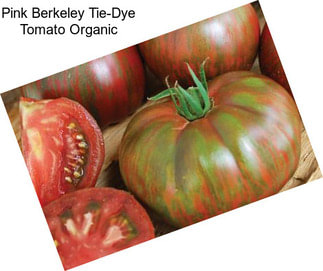 Pink Berkeley Tie-Dye Tomato Organic