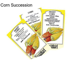 Corn Succession