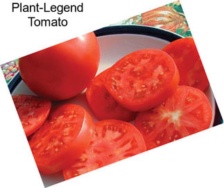 Plant-Legend Tomato