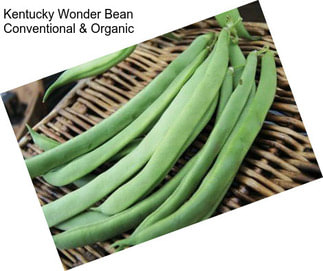 Kentucky Wonder Bean Conventional & Organic