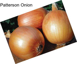 Patterson Onion