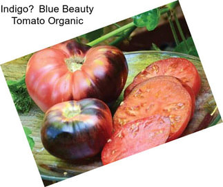 Indigo Blue Beauty Tomato Organic