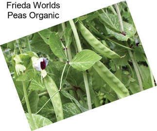 Frieda Worlds Peas Organic