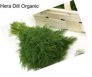 Hera Dill Organic