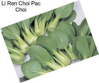 Li Ren Choi Pac Choi