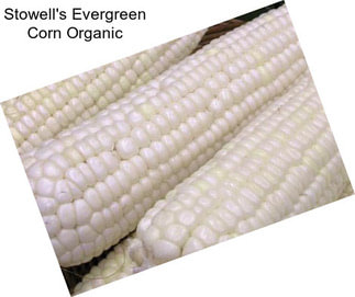 Stowell\'s Evergreen Corn Organic