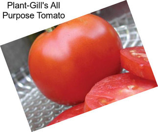 Plant-Gill\'s All Purpose Tomato