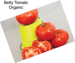 Betty Tomato Organic
