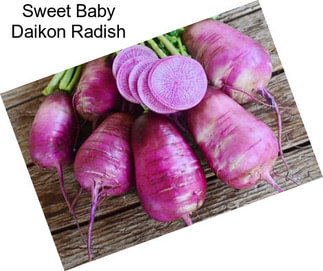 Sweet Baby Daikon Radish