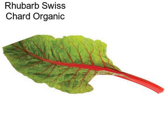 Rhubarb Swiss Chard Organic