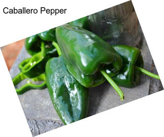 Caballero Pepper