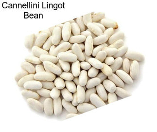 Cannellini Lingot Bean