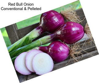 Red Bull Onion Conventional & Pelleted