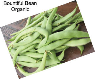 Bountiful Bean Organic