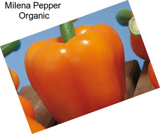 Milena Pepper  Organic