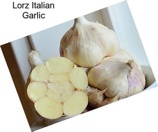 Lorz Italian Garlic