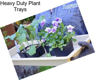 Heavy Duty Plant Trays