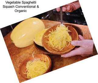 Vegetable Spaghetti Squash Conventional & Organic