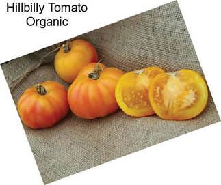 Hillbilly Tomato Organic