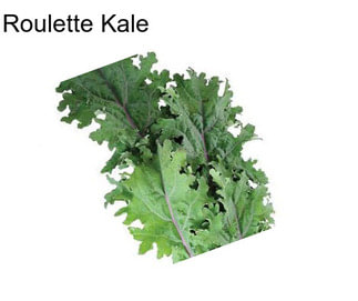 Roulette Kale