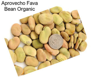 Aprovecho Fava Bean Organic