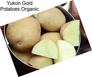 Yukon Gold Potatoes Organic