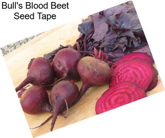 Bull\'s Blood Beet Seed Tape