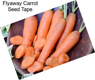 Flyaway Carrot Seed Tape
