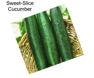 Sweet-Slice Cucumber