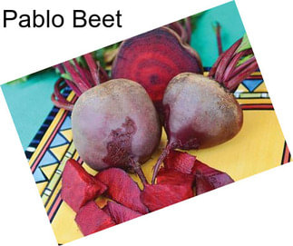 Pablo Beet