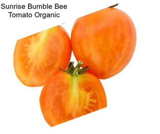 Sunrise Bumble Bee Tomato Organic