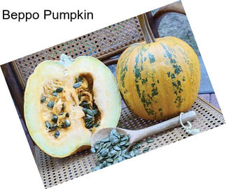 Beppo Pumpkin