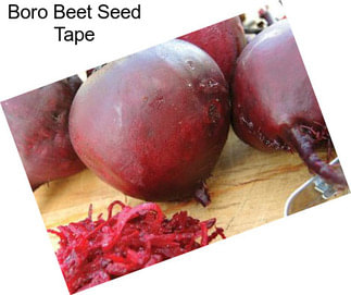 Boro Beet Seed Tape