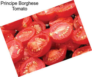 Principe Borghese Tomato