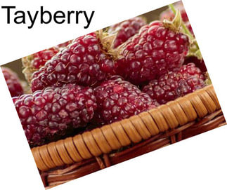 Tayberry